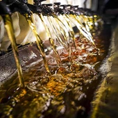 Βραστό λάδι Tung